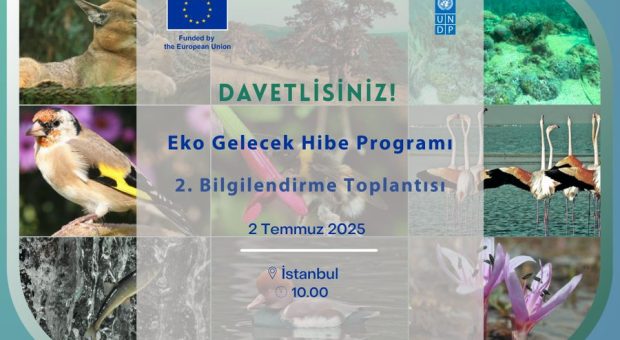Websitesi duyuru