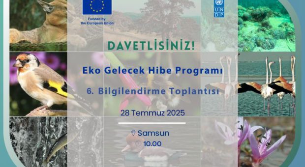 foto-tr-samsun